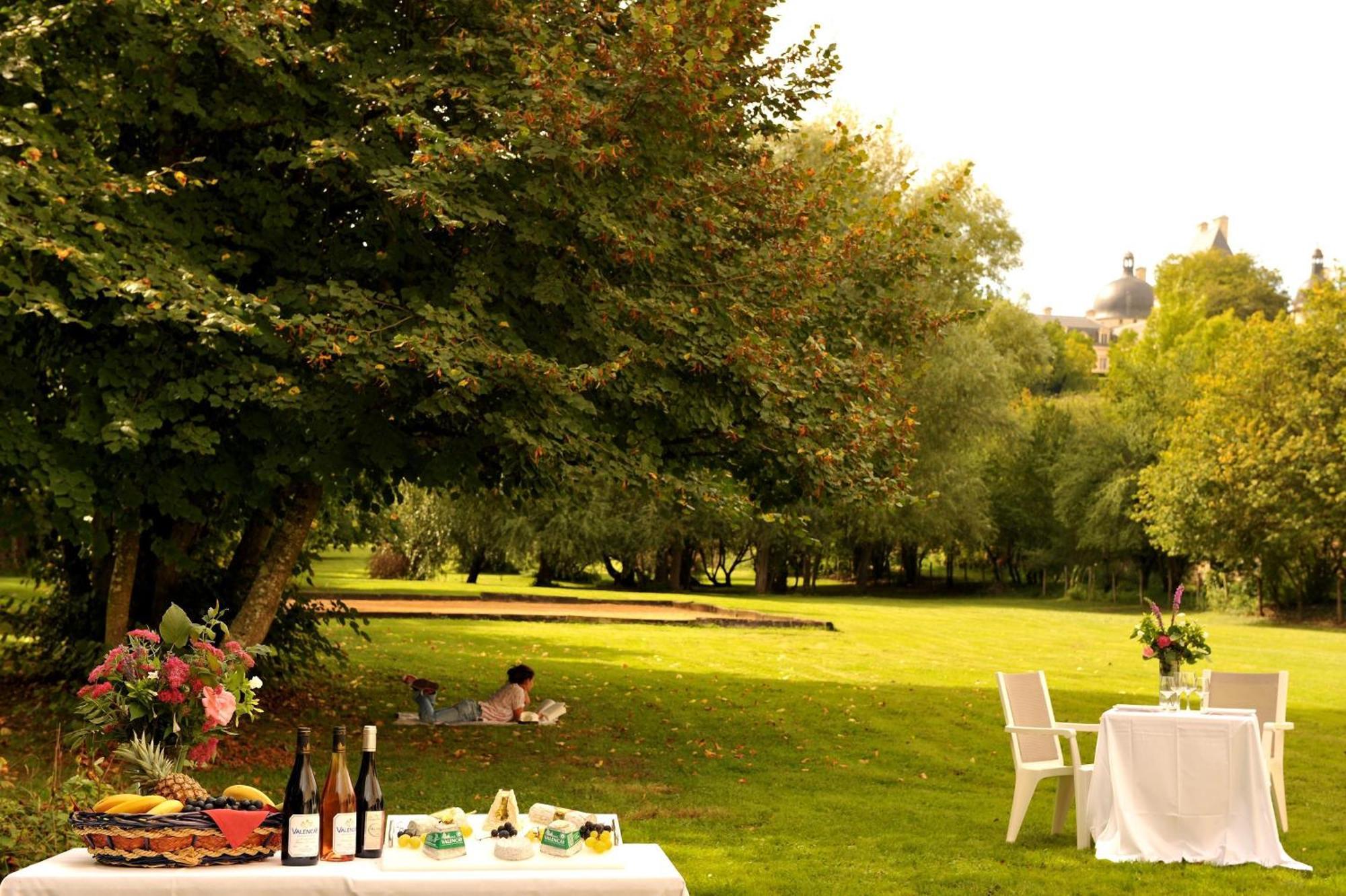 Logis Hotel Le Relais Du Moulin Valençay Buitenkant foto